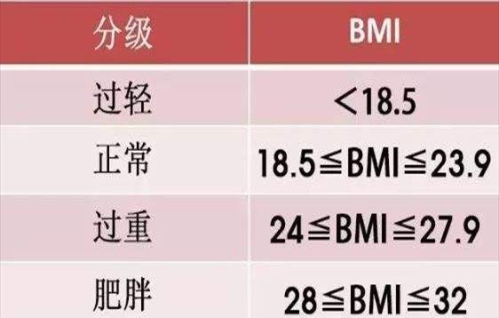 语文我与你同行作文[分享知识与生活作文]